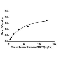 Human Cluster of Differentiation 276 (CD276) Protein (Active)