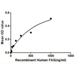 Human TNF Receptor Superfamily Member 6 / CD95 / TNFRSF6 (FAS) Protein (Active)