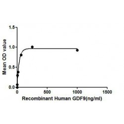 Human Growth Differentiation Factor 9 (GDF9) Protein