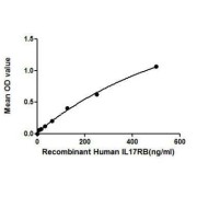Binding activity of recombinant Human IL17RB with recombinant human IL17RB.