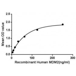 Human Mdm2 p53 Binding Protein Homolog (MDM2) Protein
