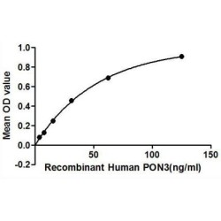 Human Paraoxonase 3 (PON3) Protein
