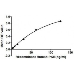 Human Protein Kinase R (PKR) Protein
