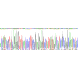 Human Carcinoembryonic Antigen-Related Cell Adhesion Molecule 5 (CEACAM5) Protein