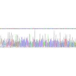 Human Perforin-1 (PRF1) Protein (Active)