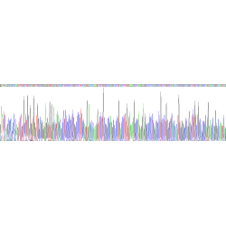 Human Perforin 1 (PRF1) Protein (Active)