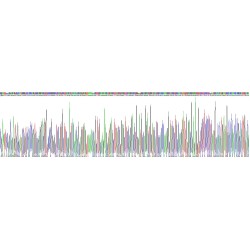 Mouse Bone Morphogenetic Protein 6 (BMP6) Protein
