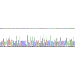 Pig Tumor Necrosis Factor Ligand Superfamily Member 6 (FASLG) Protein