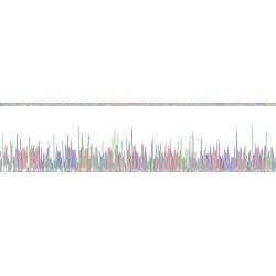Human Glutamate Receptor, Ionotropic, AMPA 1 (GRIA1) Protein