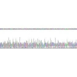 Human Multimerin 2 (MMRN2) Protein