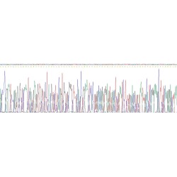 Mouse Stanniocalcin 1 (STC1) Protein