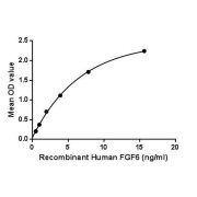 Binding activity of recombinant Human FGF6 with recombinant human FGFR1.
