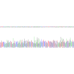 Human Hepcidin (HAMP) Protein (Active)
