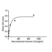Binding activity of recombinant Human IL8 with recombinant human SDC1.