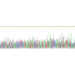 Rabbit Interleukin 8 / IL8 (CXCL8) Protein (Active)