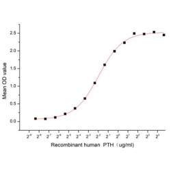 Human Parathyroid Hormone (PTH) Protein