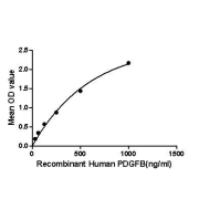 Binding activity of recombinant Human PDGFB with recombinant human NRP-1.