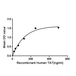 Human Tyrosine Aminotransferase (TAT) Protein (Active)