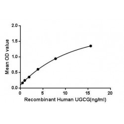 UDP Glucose Ceramide Glucosyltransferase (UGCG) Protein