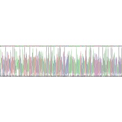 Human Serine/Threonine-Protein Phosphatase 2B Catalytic Subunit Beta Isoform (PPP3CB) Protein