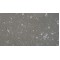 Mouse Synovial Cells (SYC)