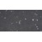 Rat Embryonic Fibroblasts (EF)