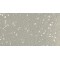 Rat Olfactory Astrocytes (OA)