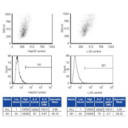 S-Adenosyl Methionine (SAMe) Antibody