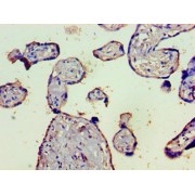 abx109270