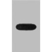 Western blot analysis of recombinant EYFP protein, diluted at 1/10000.