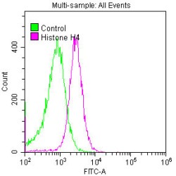 Histone H4 Antibody
