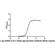 Binding activity of SARS-CoV-2 Glycoprotein Protein Antibody (Biotin) with <a href="https://www.abbexa.com/index.php?route=product/search&search=abx600065" target="_blank">abx600065</a> (2 µg/ml). EC<sub>50</sub>: 118.7 ng/ml