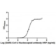 Binding activity of SARS-CoV-2 Nucleocapsid Protein Antibody (HRP) with <a href="https://www.abbexa.com/index.php?route=product/search&search=abx600062" target="_blank">abx600062</a> (2 µg/ml). EC<sub>50</sub>: 188.35 ng/ml