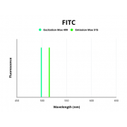 Fluorescence emission spectra of FITC.