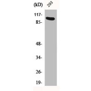 abx329298