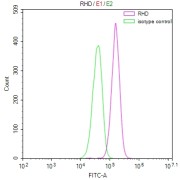 FCM analysis of HeLa cells, using Blood group RhD polypeptide (RHD) Antibody (1/100 dilution).