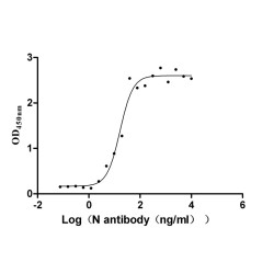 SARS-CoV-2 Nucleoprotein