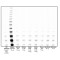 hTERT Antibody