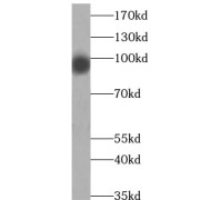 abx230040