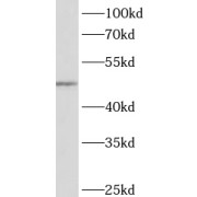 abx230119