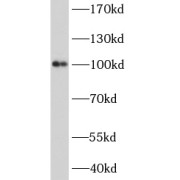 abx230122