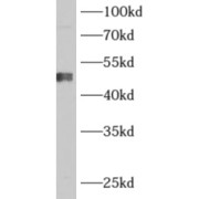 abx230168