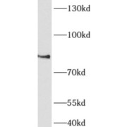 abx230193