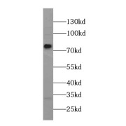 abx230208