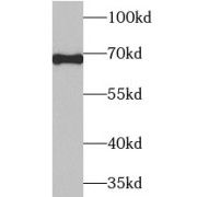 abx230235