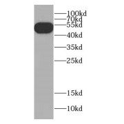 abx231319