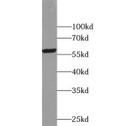 abx231450