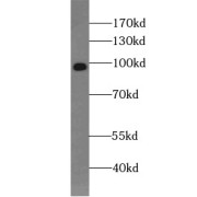 abx231474
