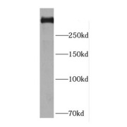 abx232430