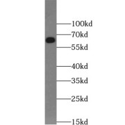 abx234712